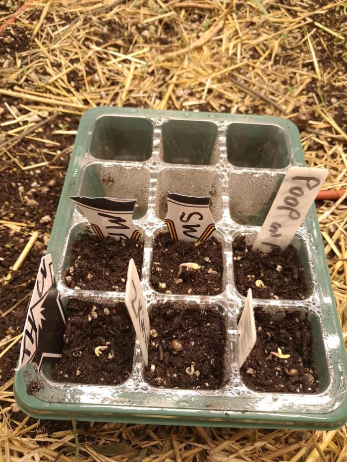 Csi seed run. Week 0