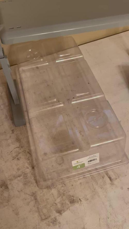 25 Tropicana Cookies Fast