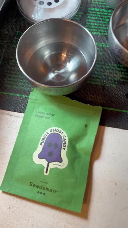 Purple Ghost Candy