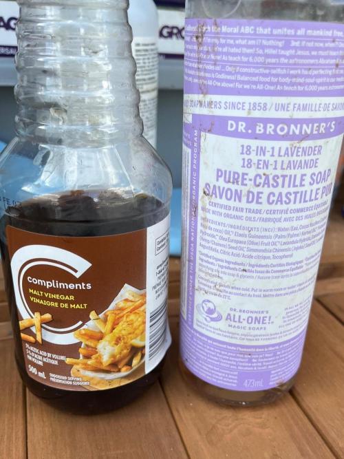 26 Purple Ghost Candy. Week 15 - Malt vinegar for pH and Dr Bronners as a wetting agent 