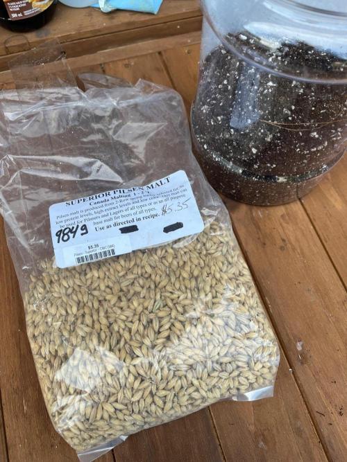 26 Amnesia Haze Fast. Week 17 - Malted barley and Pro-Mix