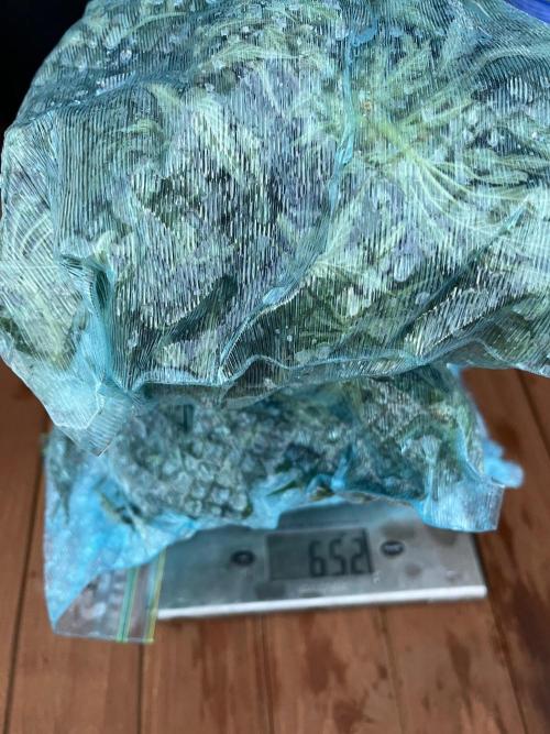 26 Gorilla Cookies Fast. Week 20 - 652 minus 27 g bags is 625 g wet