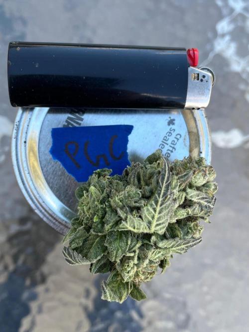 26 Purple Ghost Candy. Week 22 - Round 1 bud with the universal scale of a Bic lighter