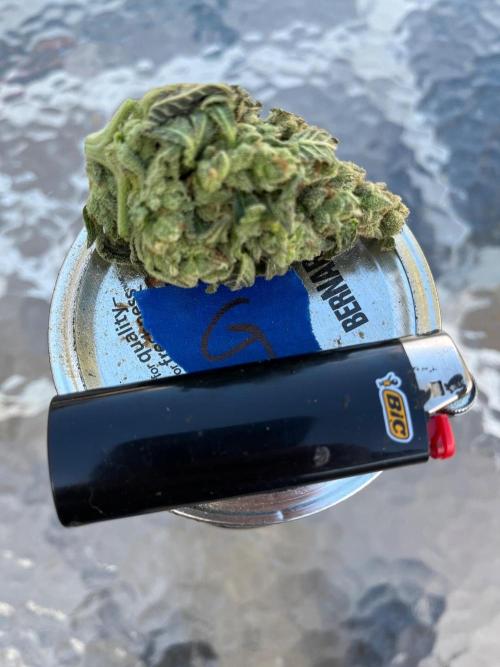26 The Godfather. Week 22 - Round 1 bud