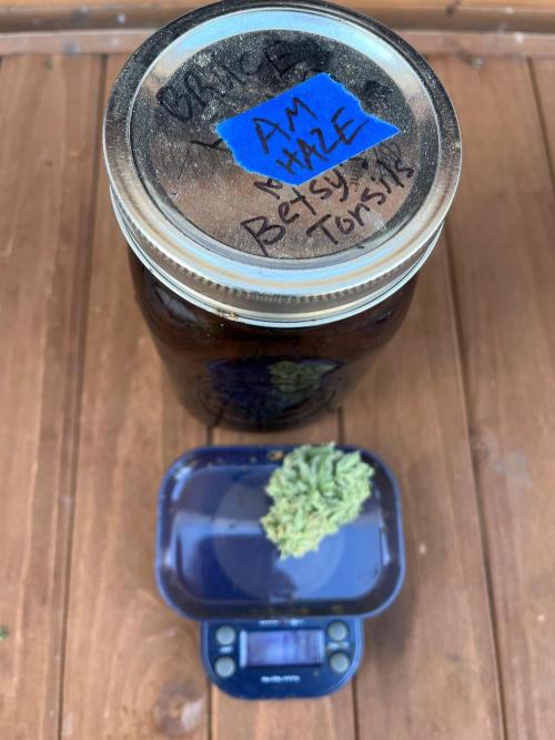 Amnesia Haze Go Fast. Week 23