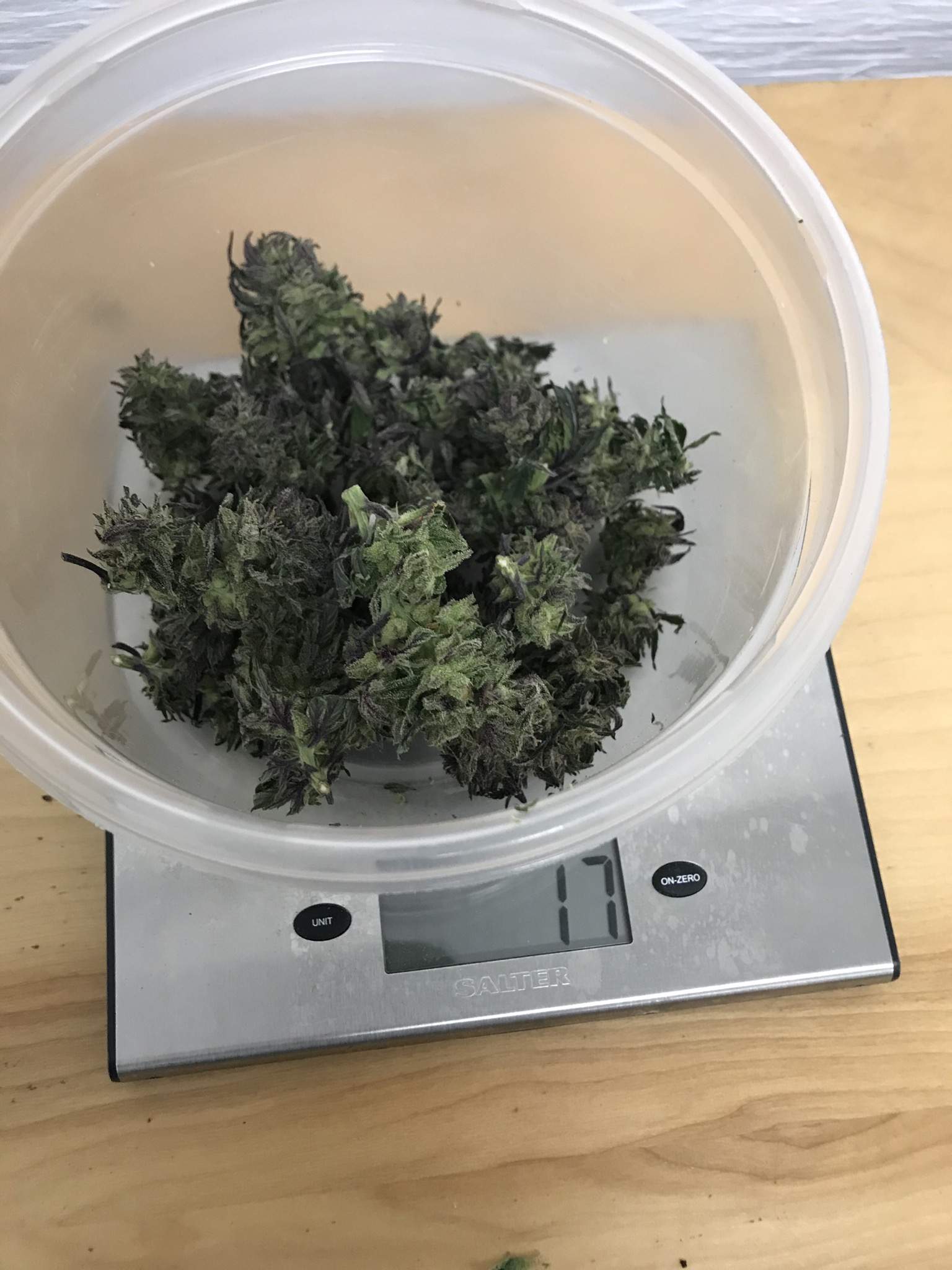 Sweet Seeds Jack 47 XL Auto® grow diary (journal) harvest14 by Northern_Ent GrowDiaries