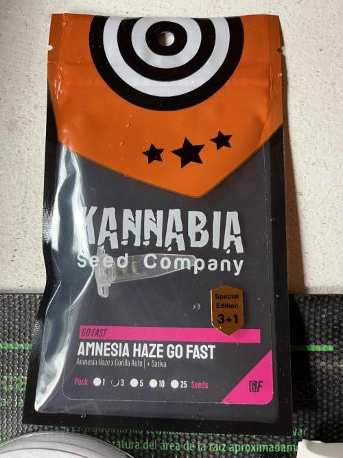 Amnesia Haze Fast ?. Week 0 - Apr 23