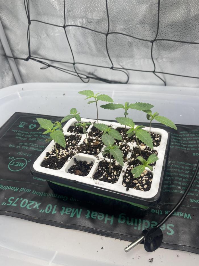 Outdoor 2026. Week 1
