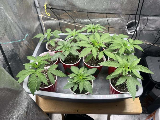 Outdoor 2026. Week 2