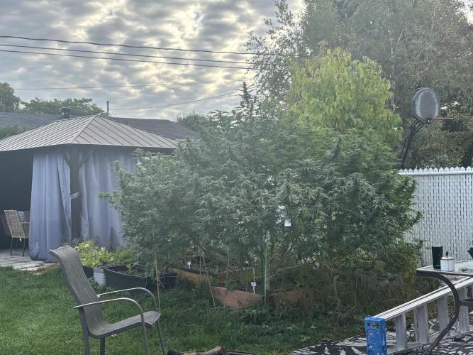 Outdoor 2026. Week 24 - CS