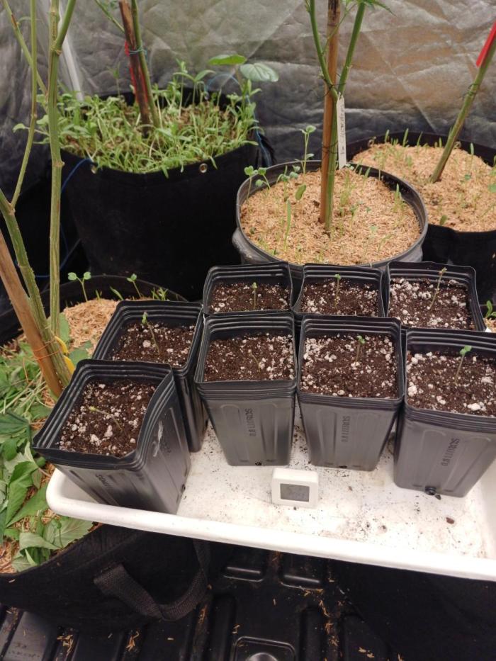 hunt valley banger. Week 0 - lets go