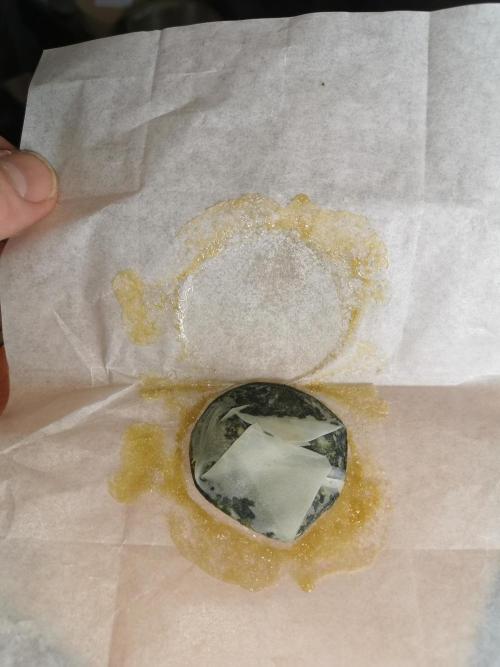 End of Photoperiodics grow. Week 22 - Love by the first dab She was a terp monster and a honey queen, a lot of rosin💚