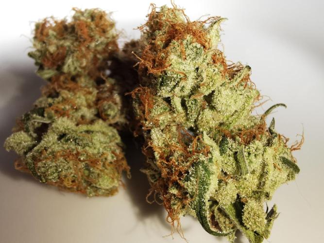 Autoflower Growlog 1.0 except for nepali. Week 12