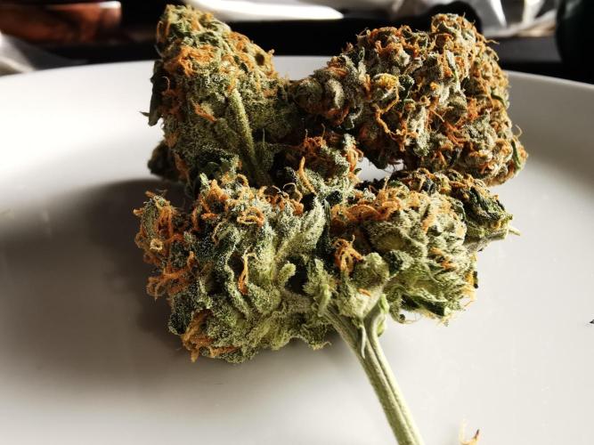 Autoflower Growlog 1.0 except for nepali. Week 13