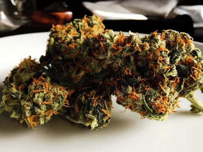 Autoflower Growlog 1.0 except for nepali. Week 13