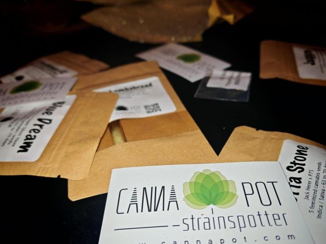 Cannapot grow #4. Week 0