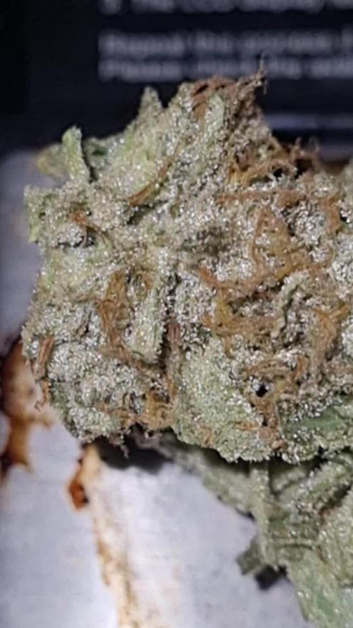 My Zoe Black Orchid #3 Auto 100W only