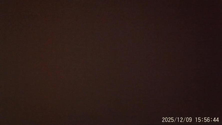 My Zoe Wurlz F1 Hybrid Auto (Zamnesia)