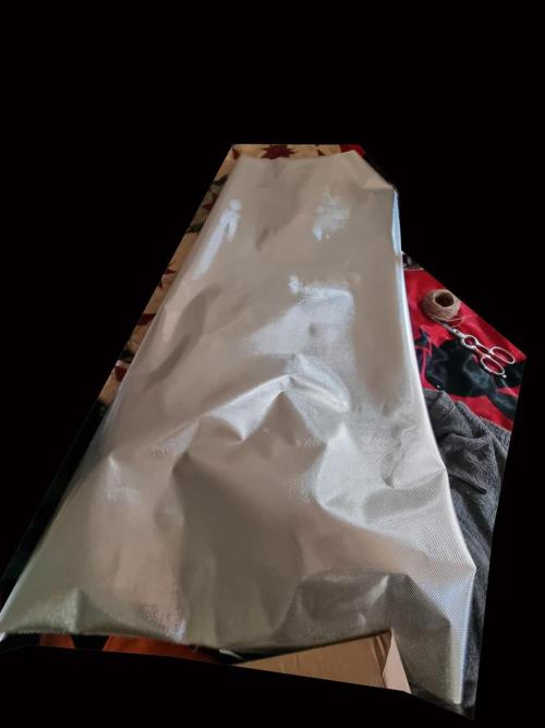 My Zoe Purple Queen Automatic (RQS). Week 6