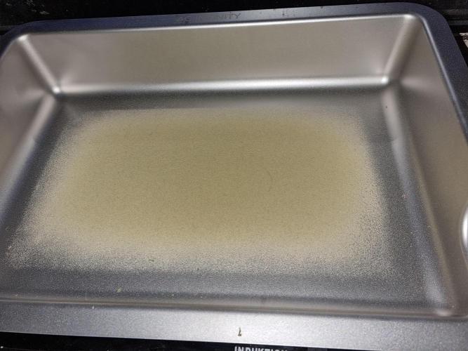 My Zoe Wurlz F1 Hybrid  Auto (Zamnesia). Week 12