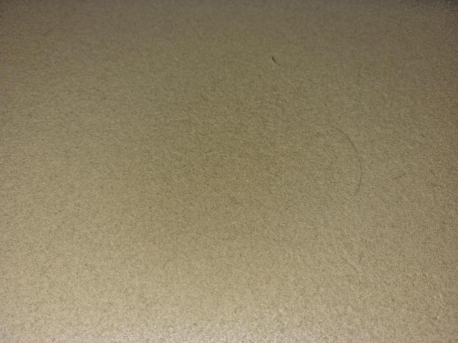 My Zoe Wurlz F1 Hybrid  Auto (Zamnesia). Week 12