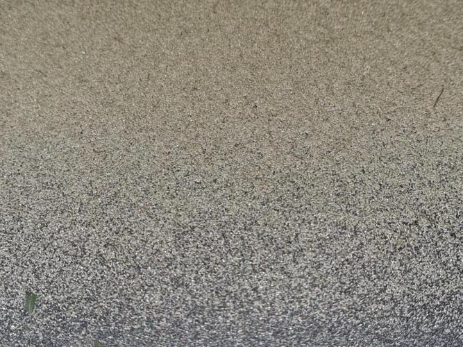 My Zoe Wurlz F1 Hybrid  Auto (Zamnesia). Week 12