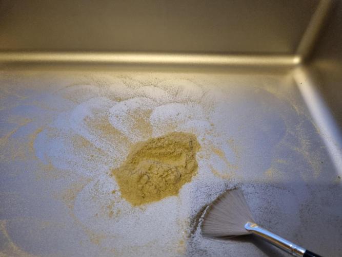 My Zoe Wurlz F1 Hybrid  Auto (Zamnesia). Week 12