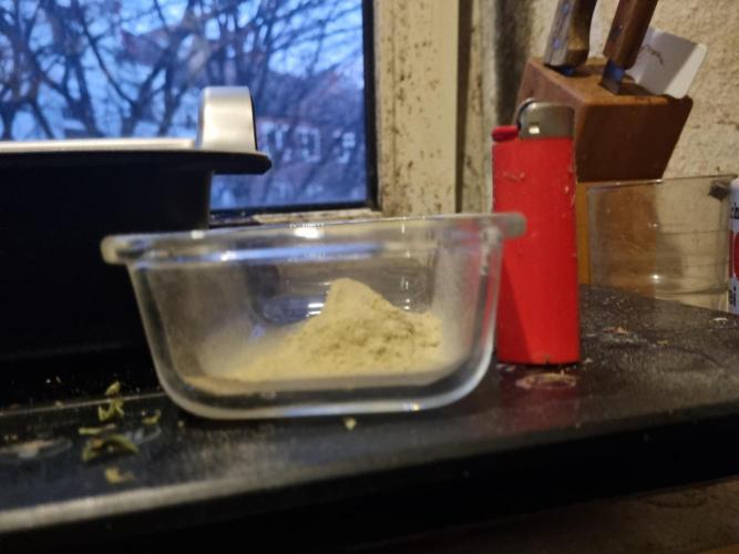 My Zoe Wurlz F1 Hybrid  Auto (Zamnesia). Week 12