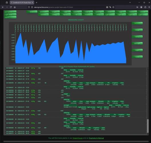 Purple Haze Auto #13 #01. Week 6