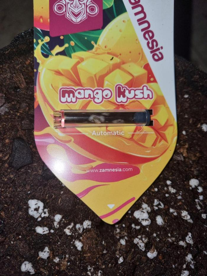 Mango Kush Auto #15 #1. Week 0 - Day 0