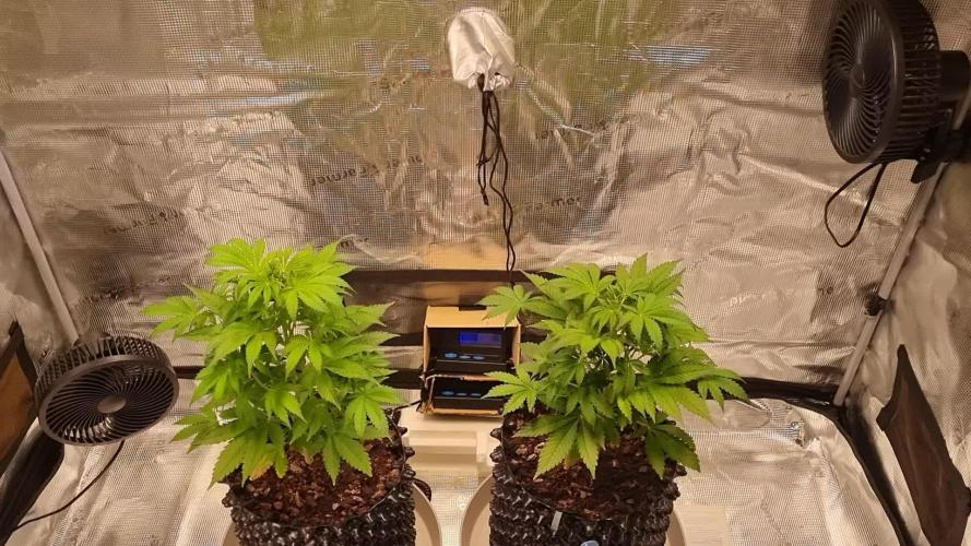 GodFeather OG F1 Auto (First) #19 #04
