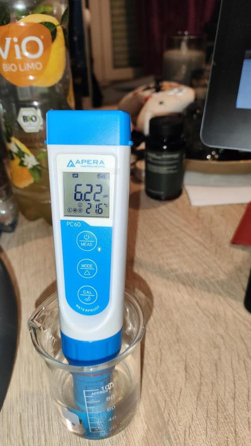 Two hippos in one box. Week 2