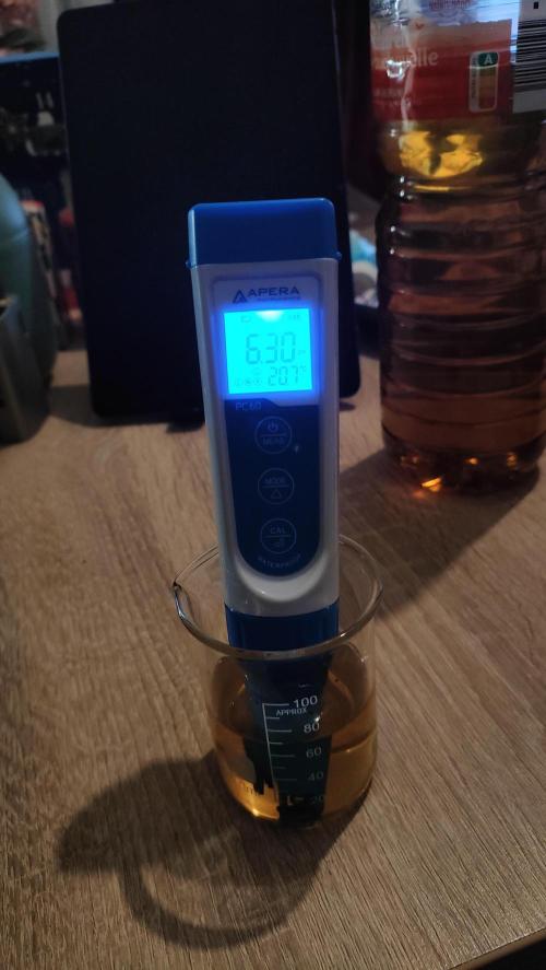 Two hippos in one box. Week 3