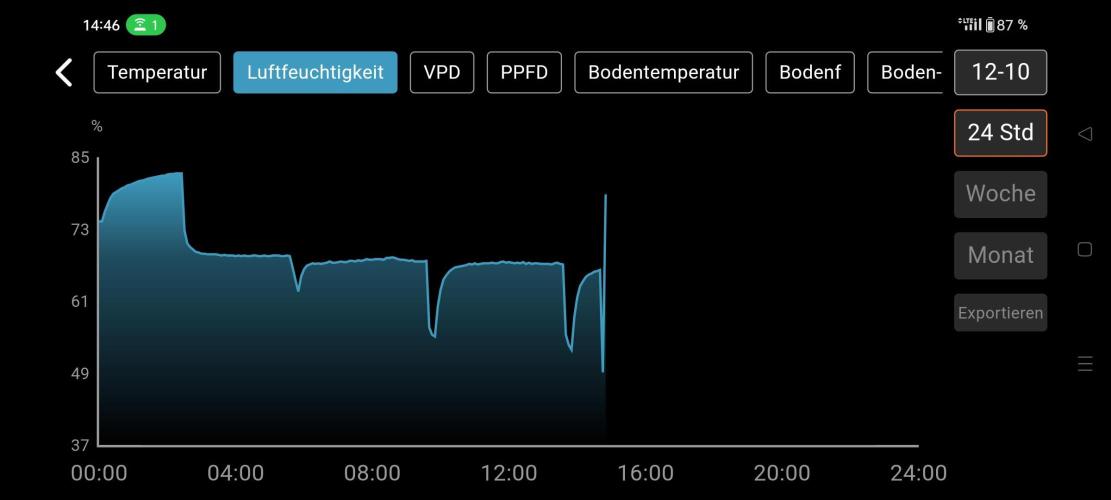 Two hippos in one box. Week 3
