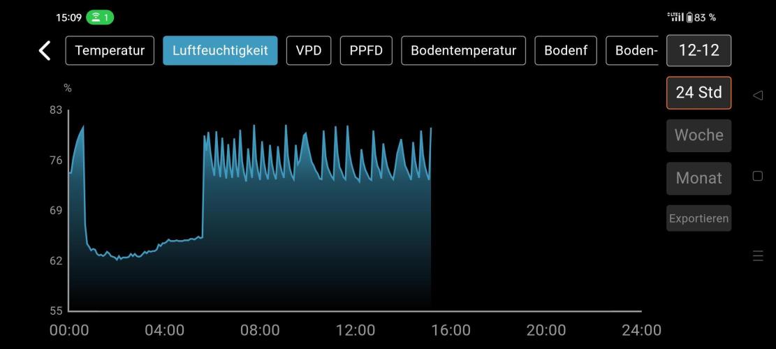 Two hippos in one box. Week 3