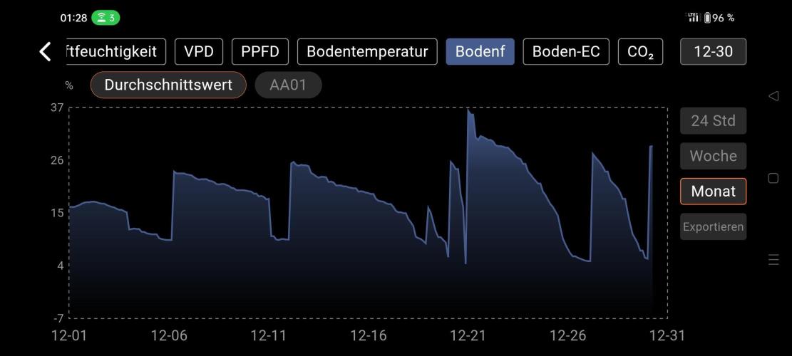 Two hippos in one box. Week 4