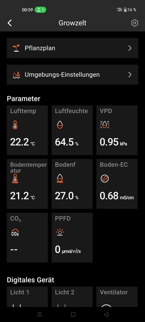 Two hippos in one box. Week 5