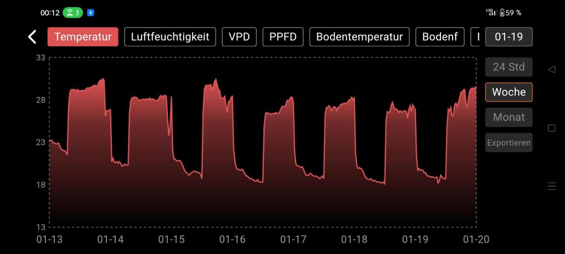 Two hippos in one box. Week 6