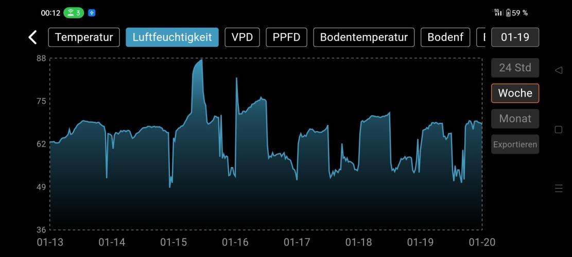Two hippos in one box. Week 6