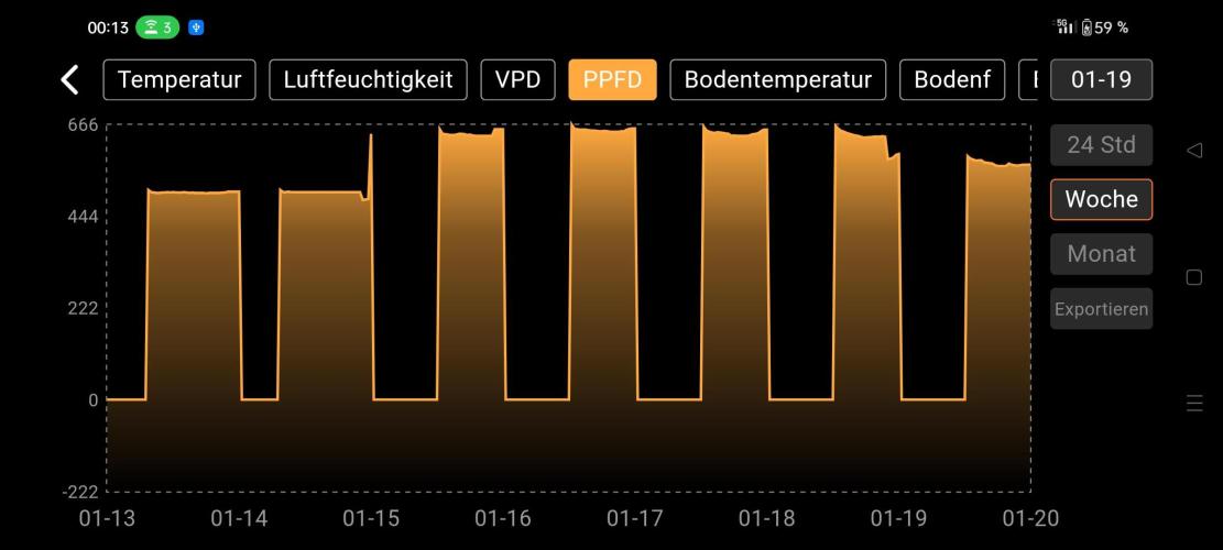 Two hippos in one box. Week 6