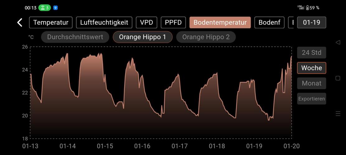 Two hippos in one box. Week 6