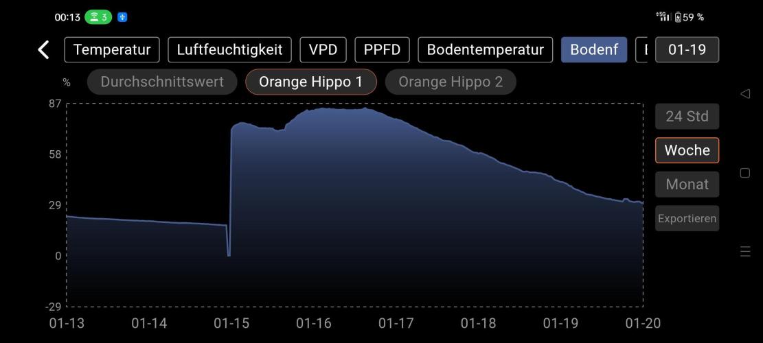 Two hippos in one box. Week 6