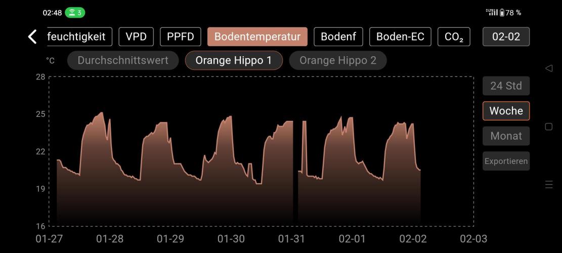 Two hippos in one box. Week 9