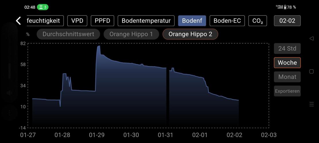 Two hippos in one box. Week 9