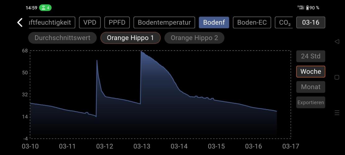Two hippos in one box. Week 14