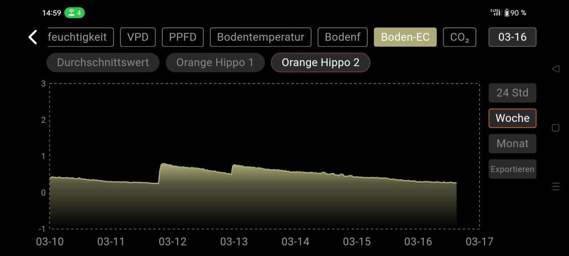 Two hippos in one box. Week 14