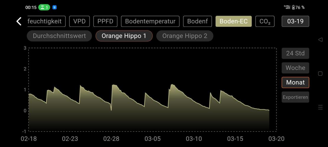 Two hippos in one box. Week 15