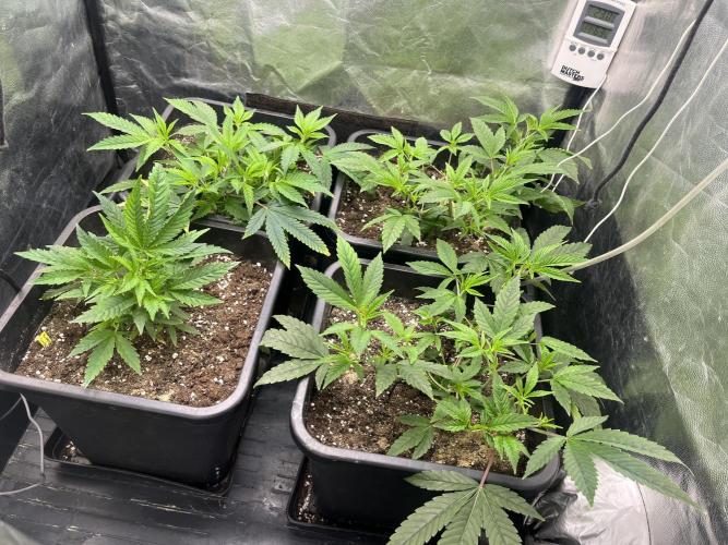 B-45 By BOOBA. Week 3