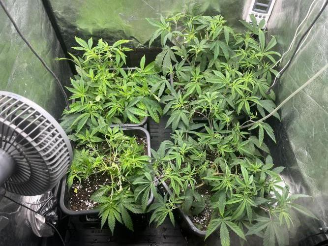 Silent B45. Week 4 - Week 4