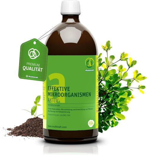 SweetSeeds / Living Soil / Only Water. Week 0